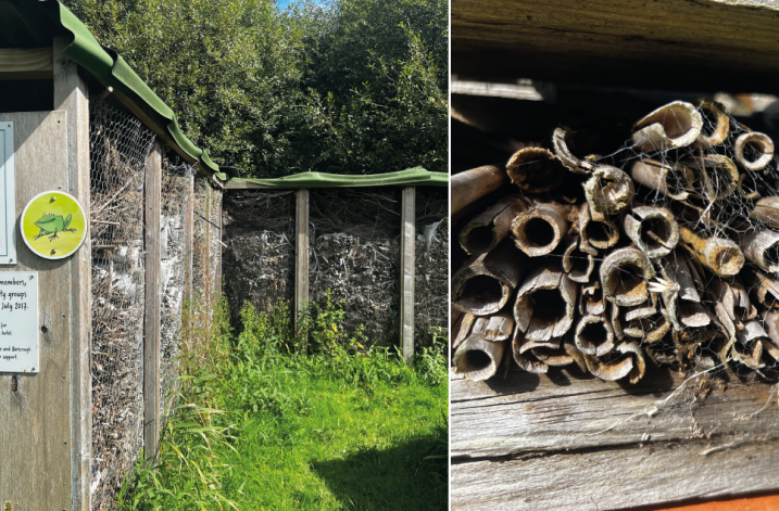 One of the world's largest bug hotel at WWT Martin Mere Wetland Centre